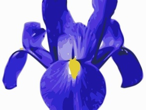 iris unicorno plotter a penna altri fiore 3d print model - Mito3D