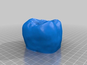 molaire 16 dents humaines modèles de l'homme mol 3d print model - Mito3D