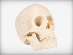 human skull academy education human skull learning skull 3d print model - Mito3D