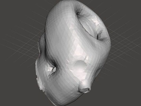 cranio contenitore utensili & caselle titolare umano 3d print model - Mito3D