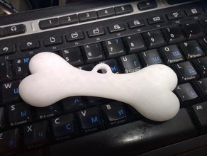 bone keychains 3d print model - Mito3D