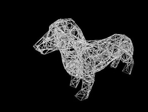 wire-frame-Dackel Tiere Tier Dackel Hund pet Drahtmodell 3d print model - Mito3D