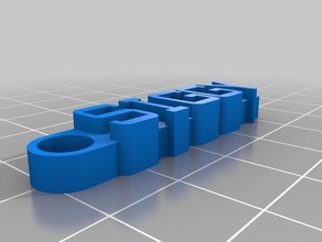 2 siggy Anahtarlık organizasyon özelleştirilmiş 3d print model - Mito3D