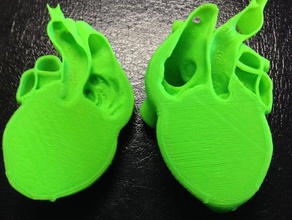 heart half biology 3d print model - Mito3D