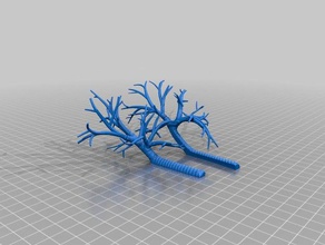 poumon moitiés de la biologie 3d print model - Mito3D