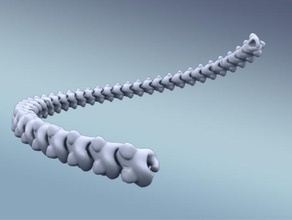 la colonne vertébrale de chaîne les bracelets squelette 3d print model - Mito3D