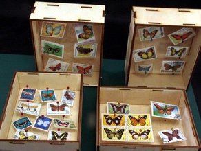 butterfly box laser-cut deco-box nur Spaß 2d-Kunst briefmarke Schmetterling Sammlung lasercut papillon sammlung schmetterling sperrholz Stempel 3d print model - Mito3D