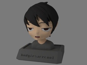budge bust people 3d print model - Mito3D