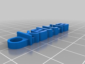 chaveiro keltia organizasyon özelleştirilmiş 3d print model - Mito3D