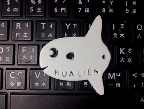 mola di pesce sunfish portachiavi il cinese i keychain 3d print model - Mito3D