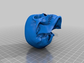 skull3 altri 3d print model - Mito3D