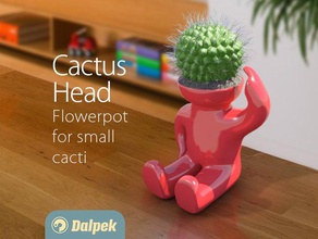 cactus en la cabeza decoración los de maceta las flores del jarrón jardinería casa urbana floreros 3d print model - Mito3D