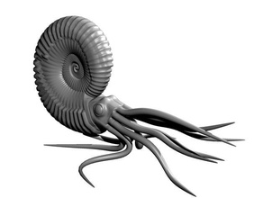 ammonite head tentacles animals animal jonathan hoyle jon prehistoric tentacle 3d print model - Mito3D