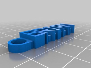 my customized message keychain tiger steve organization 3d print model - Mito3D