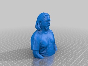 site 3 open house 3d scans 2013-01-11 replicas 3dscan bust head kinect reconstructme site3 3d print model - Mito3D