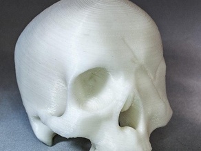 um olho willie scans e réplicas 50 dólar armadilha chester copperpot cyclops goonies nunca diga morrer crânio 3d print model - Mito3D