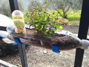 plastic bottle plant hook outdoor & garden 3d print model - Mito3D