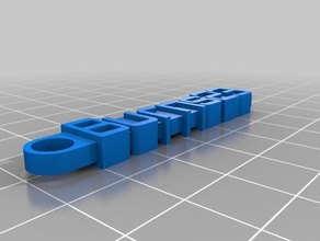 meine individuelle Nachricht Schlüsselbund - Organisation kundengebundene 3d print model - Mito3D