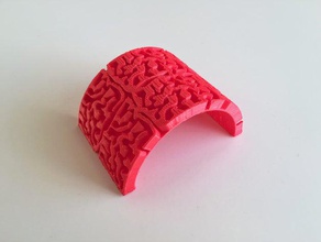 brain curve 3d print model - Mito3D