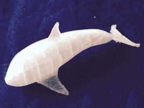 orca Yunus hayvanlar katil balina 3d print model - Mito3D