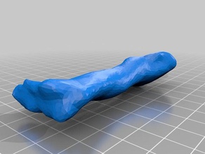 one bone biology mole 3d print model - Mito3D