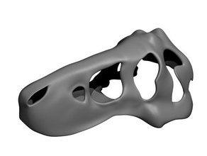 tyrannosaurus rex cranio animali jonathan hoyle wip stati di avanzamento lavori 3d print model - Mito3D