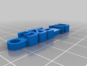 306 td organização personalizado 3d print model - Mito3D
