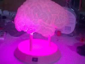 brain light remix decor 3d print model - Mito3D