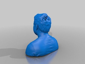 mich Menschen 3d-gescannt 3d print model - Mito3D