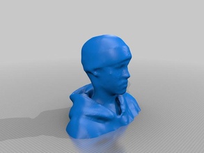 justins head scans replicas 3d print model - Mito3D