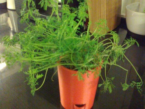 planta de vaso titular indicador nível água cozinha e sala jantar flores erva recipiente 3d print model - Mito3D