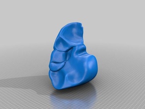 higado biología 3d print model - Mito3D