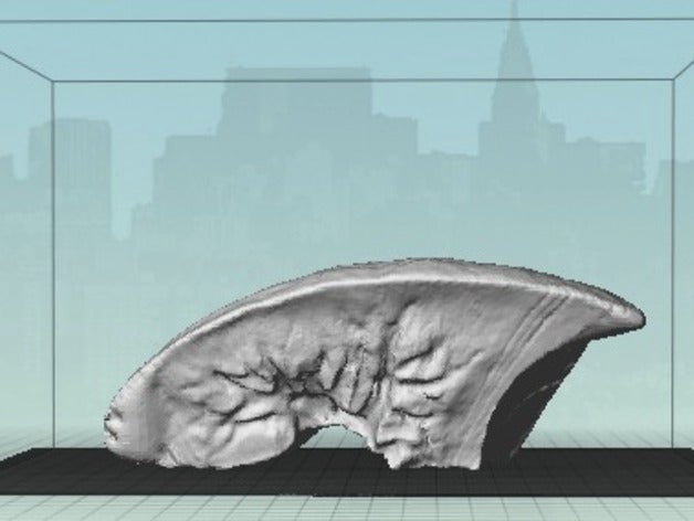 pulmão esquerdo 2 pessoas de 3D print model - Mito3D