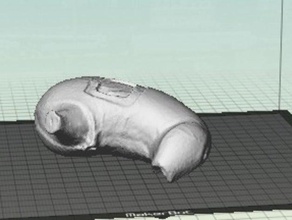 Magen Menschen 3d print model - Mito3D