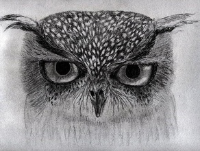 marie la lechuza Arte en 2d herramientas del arte de aves imagen stl owl 3d print model - Mito3D