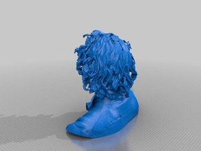 nat people making-it science-festival 3d print model - Mito3D