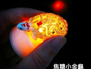 dinheiro tartaruga do agregado familiar animais caso lâmpada luz mini 3d print model - Mito3D