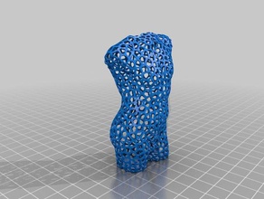 de voronoi remix torse sculptures le 3d print model - Mito3D