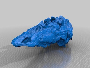 eoraptor cráneo a los animales 3d print model - Mito3D