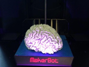 Gehirn 3d-drucken Biologie Körper Chemie Kopf hiltonlab die medizinische MRT scan 3d print model - Mito3D