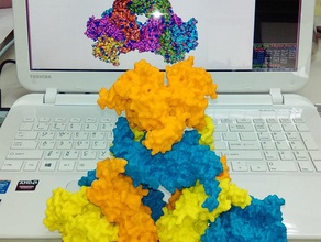 long chain acyl-coa carboxylase biology enzyme protein structure 3d print model - Mito3D