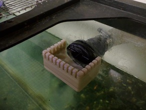 aquarium überlauf Haustiere filter fish tank 3d print model - Mito3D