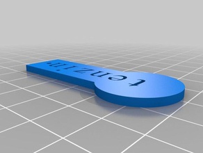 meu personalizada moeda fob -tenzin do agregado familiar personalizado 3d print model - Mito3D