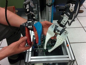 garra del robot dynamixel la robótica de humanoide el servo 3d print model - Mito3D