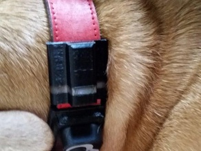fitbit flex - collier pour chien en pièce jointe accessoires col de podomètre 3d print model - Mito3D