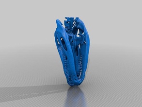 alligator crâne balayage de ct la biologie animal médical 3d print model - Mito3D