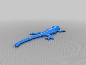 gecko animaux 3d print model - Mito3D