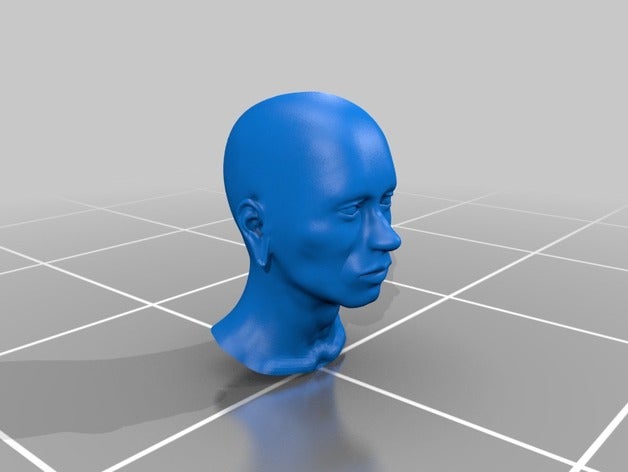 visage 3D print model - Mito3D