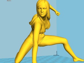 figure test persone ironworan 3d print model - Mito3D