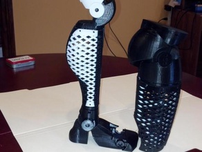 beste Bein-Roboter in der Robotik 3d print model - Mito3D